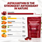 Ultimate Astaxanthin 15mg - For Circulation