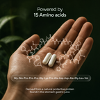 Next-Gen 1000mg BPC-157+