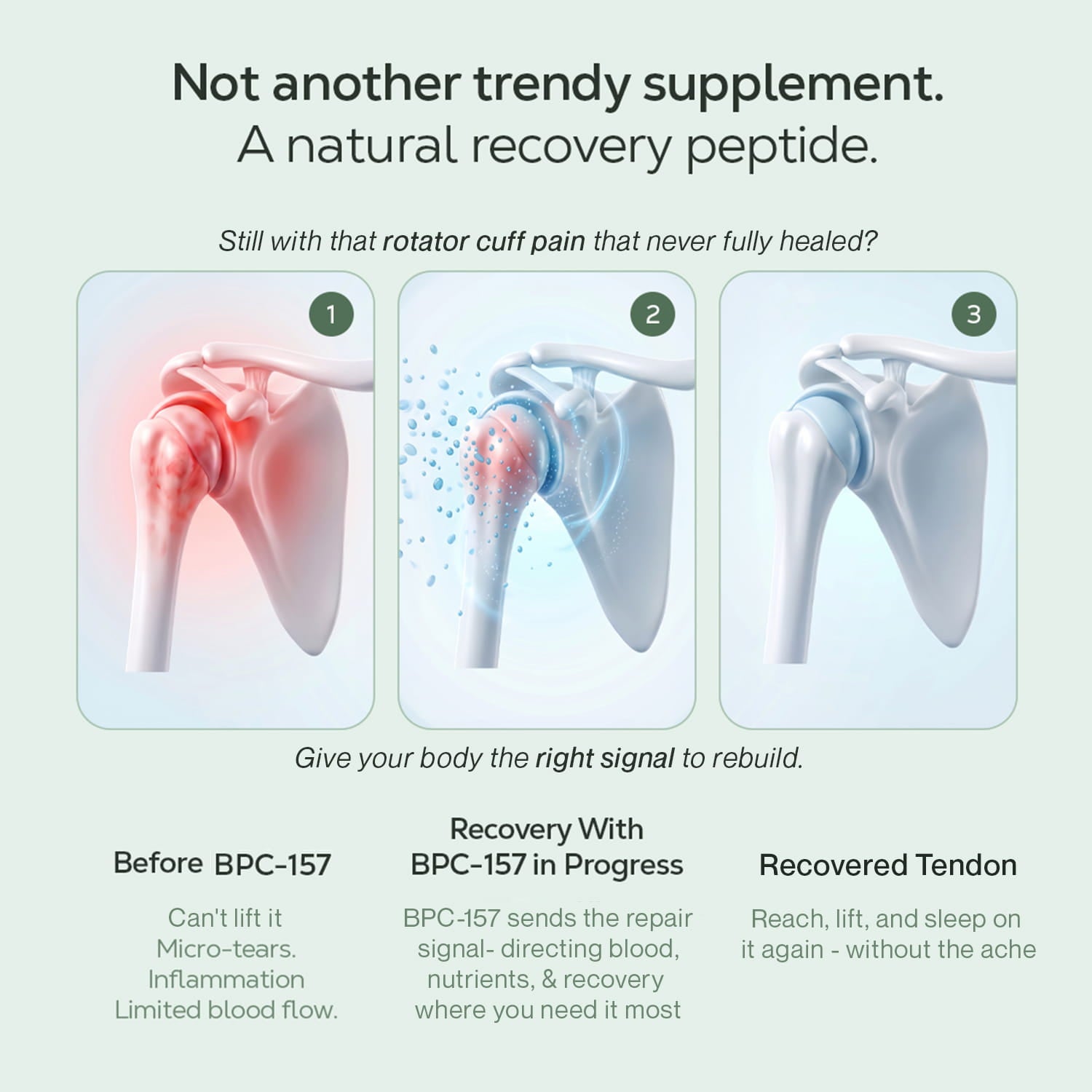 Next-Gen 1000mg BPC-157+